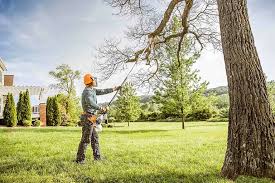 Professional  Tree Services in Souderton, PA